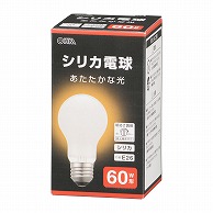 白熱電球