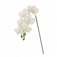 造花 コチョウラン（胡蝶蘭）