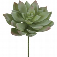 フェイクグリーン 多肉植物