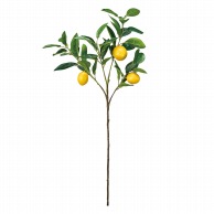 造花実物 フルーツ・ベジタブル