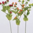 造花実物 その他