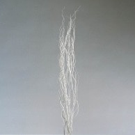 ドライ枝物 雲竜柳