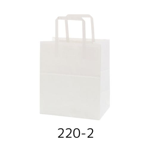Nフラットチャームバッグ N220-2