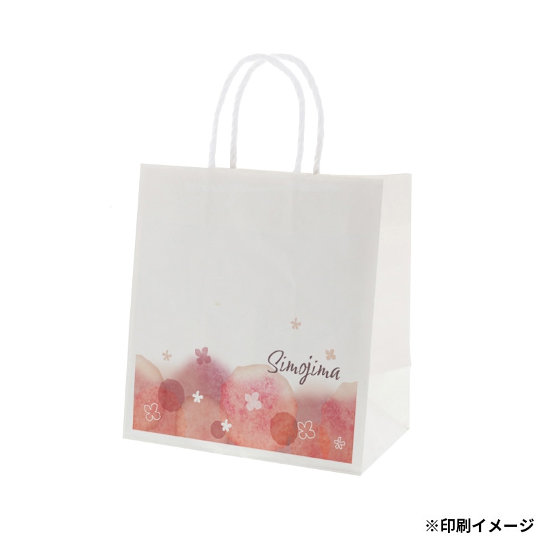 【オリジナル印刷】特注小ロットスムースバッグ　ワイドS フルカラー片面印刷 白無地500枚