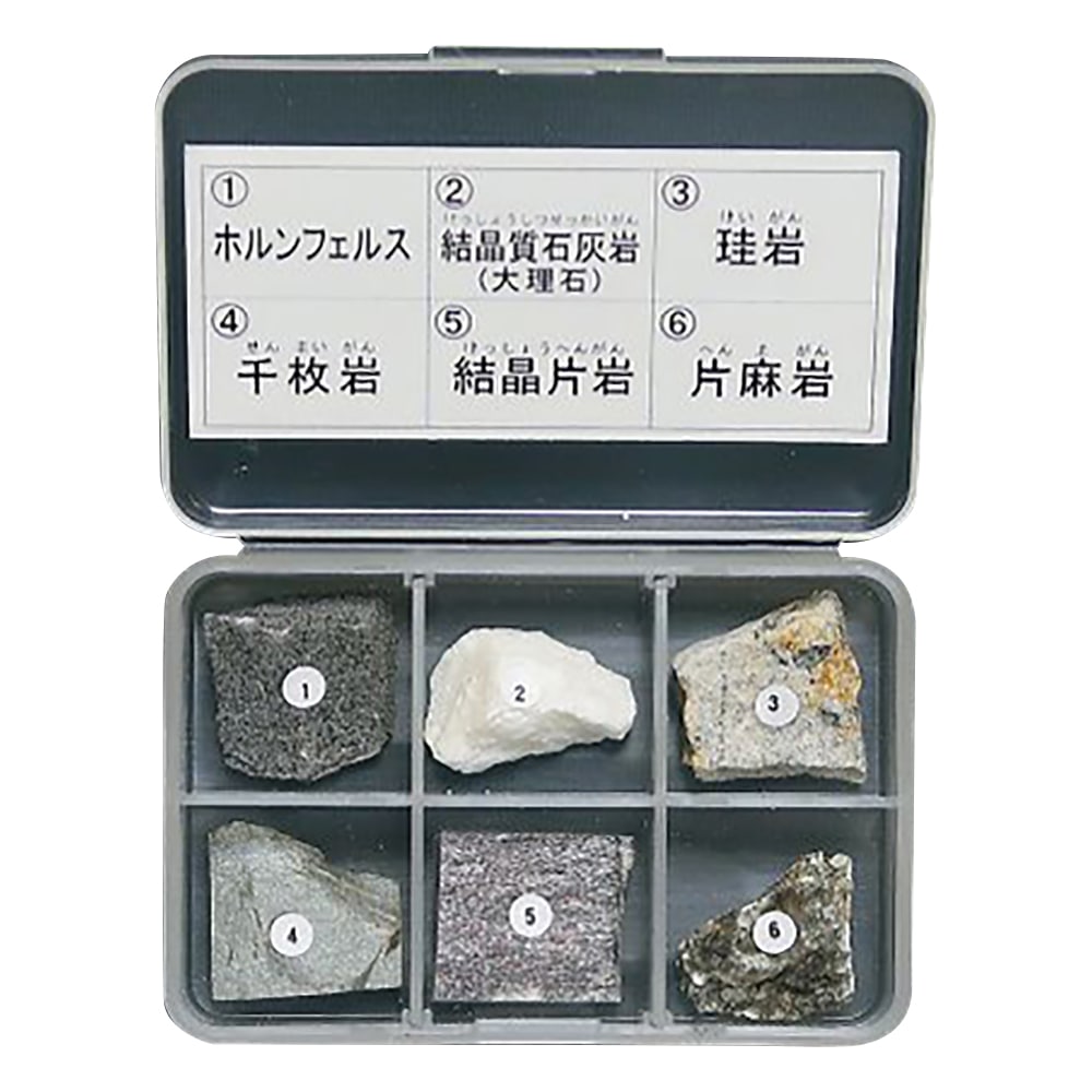 東京サイエンス 岩石標本(岩石標本変成岩6種) 1セット(ご注文単位1セット)【直送品】
