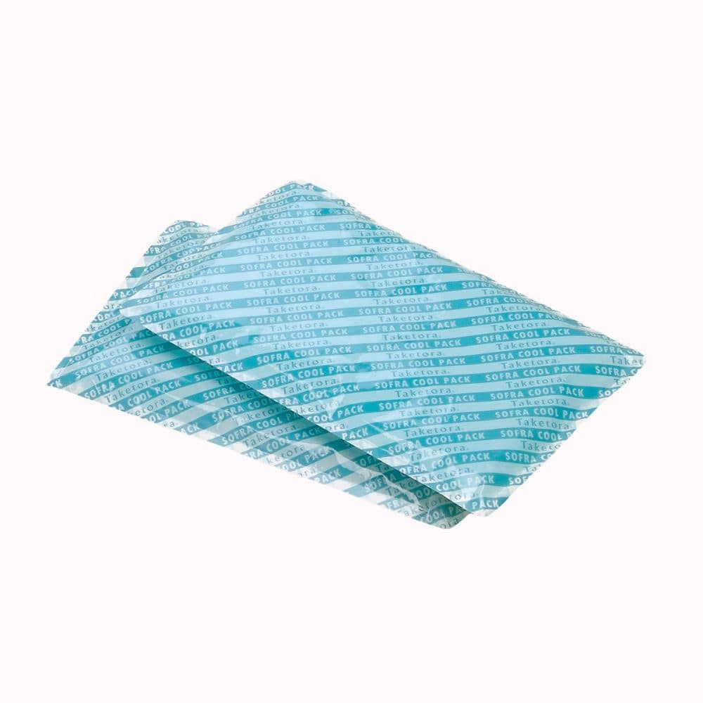竹虎 ソフラクールパック 2個入041020 1箱 (ご注文単位1箱) 【直送品】