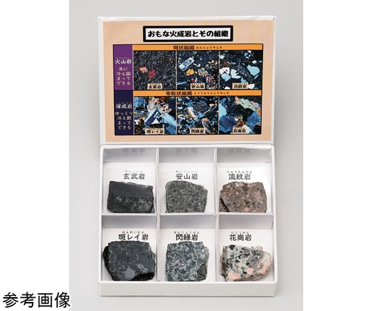 大江理工社 ミニ標本シリーズ 火成岩6種セット (研磨) 1箱 (ご注文単位1箱) 【直送品】