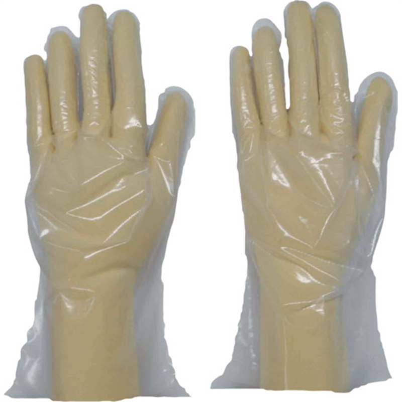 ダンロップ 調理用ポリエチレン L (100枚入) 1箱（ご注文単位1箱）【直送品】
