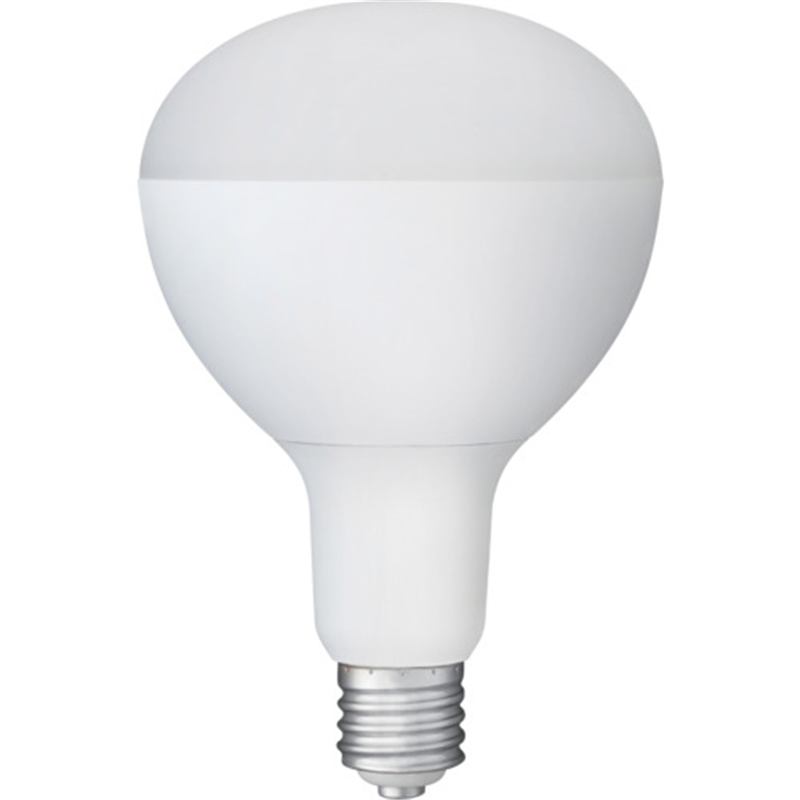 IRIS 107946 PROLEDS LED電球 投光器用 5500lm 1個（ご注文単位1個）【直送品】