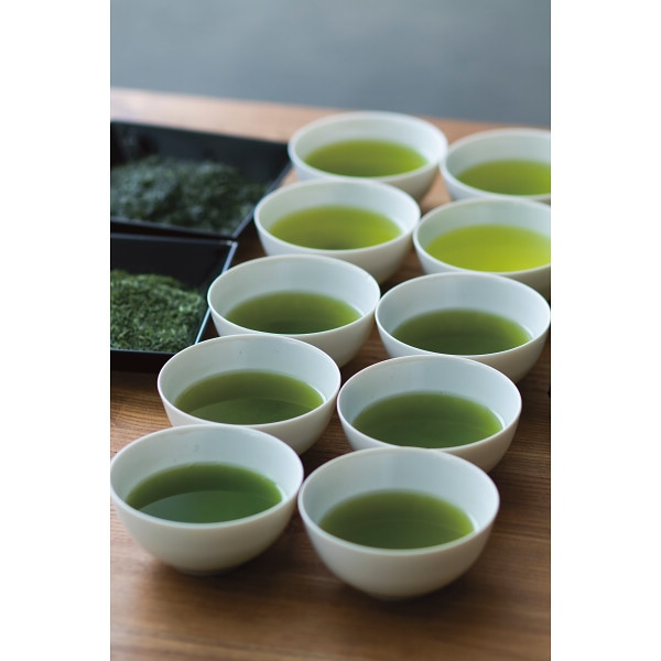 シャディ 深蒸し煎茶　静岡抹茶入り・煎茶　さえみどり入り詰合せ 1個(ご注文単位1個) ※軽 【直送品】