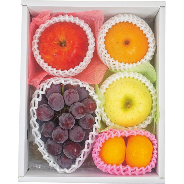 シャディ 旬を味わうフルーツ詰め合わせ 1個(ご注文単位1個) ※軽 【直送品】