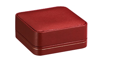 CS-06-TB-RED タイピン・ブローチケース レッド 1個 (ご注文単位10個)【直送品】