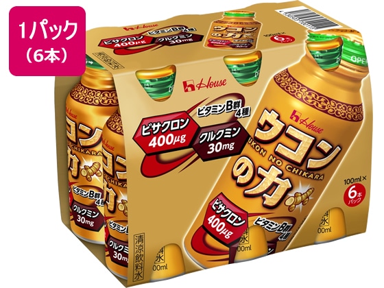 ハウスウェルネスフーズ ウコンの力 100ml 6本 1パック※軽(ご注文単位1パック)【直送品】