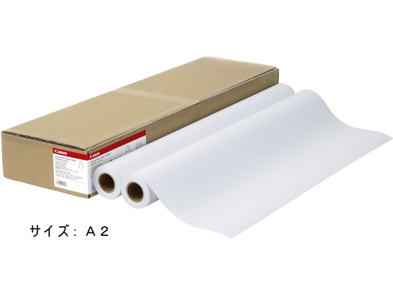 キヤノン LFM-PPS2 A2 64 スタンダード普通紙2 2本 8738B006 1箱(ご注文単位1箱)【直送品】