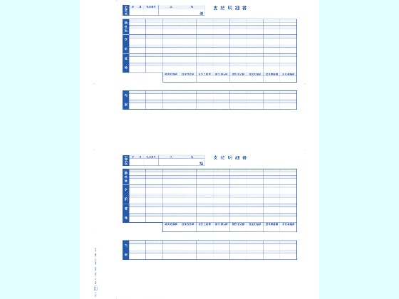 OBC 単票封筒用支給明細書(内訳項目付)6235 300枚 1箱（ご注文単位1箱)【直送品】