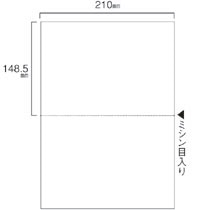 TANOSEE スマイル用LBP用紙 A4汎用白紙 2分割 穴なし 500枚/箱(ご注文単位1箱)【直送品】