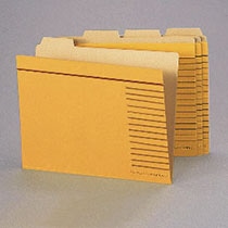 ライオン事務器　カットフォルダー　A4判　A4-4F-R-20P　1パック（20冊）（ご注文単位1パック）【直送品】