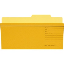 ライオン事務器 個別フォルダー TD用(統一伝票用) TD-IF-R 1冊(ご注文単位1冊)【直送品】