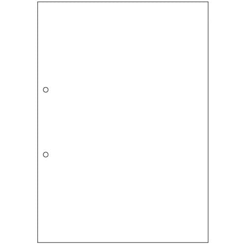 TANOSEE　マルチプリンタ帳票（スーパーエコノミー）　A4　白紙　2穴　1セット（2500枚：100枚×25冊）（ご注文単位1セット）【直送品】
