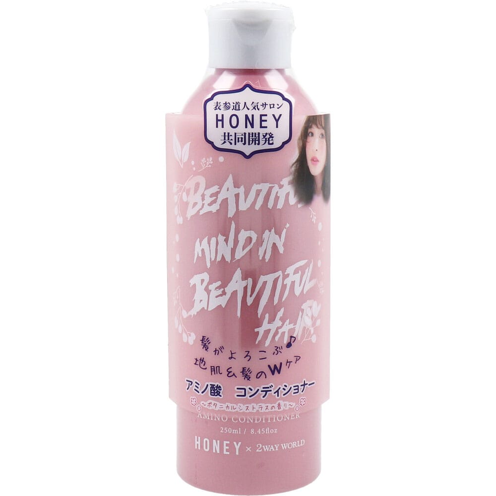 ツーウェイワールド HONEY アミノ酸コンディショナー ボタニカルシトラスの香り 250mL 1個(ご注文単位1個)【直送品】