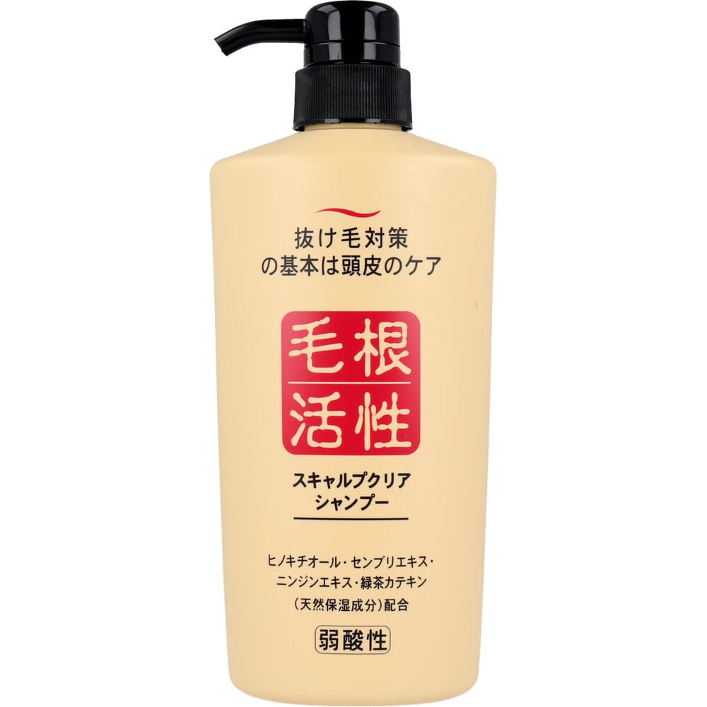ジュン・コスメティック スキャルプクリア シャンプー 550mL 1個(ご注文単位1個)【直送品】