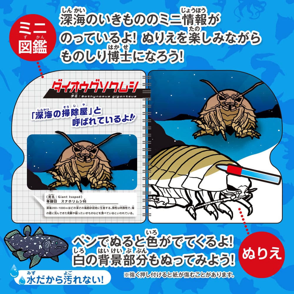 シルバーバック 水ぬりえ 深海のいきもの図鑑 1セット(ご注文単位1セット)【直送品】