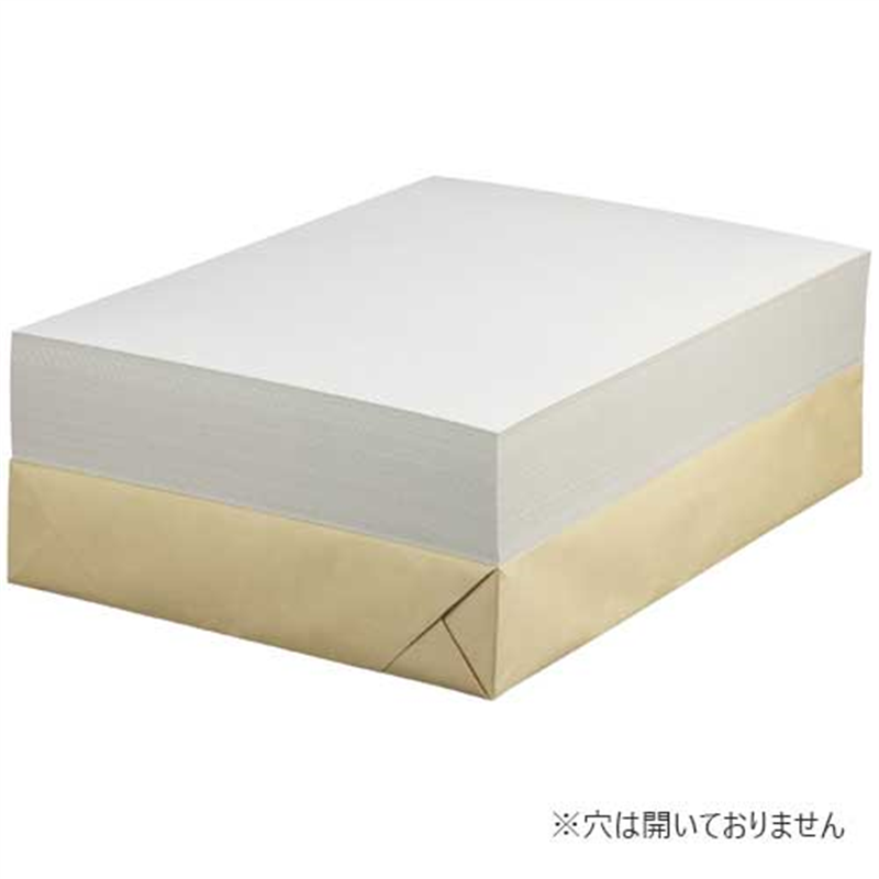 セキレイ 白ボール紙 CA3 A3 100枚 1個(ご注文単位1個)【直送品】