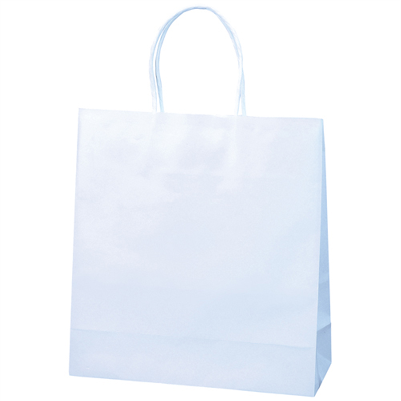 ノーブランド 紙手提袋特小100枚 290X260mm  1個（ご注文単位1個）【直送品】