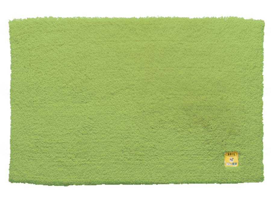 ウェルファン 乾度良好Ag+バスマット/グリーン/600×900cm 1枚（ご注文単位1枚）【直送品】