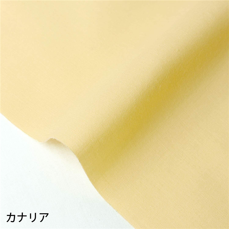 カナリア