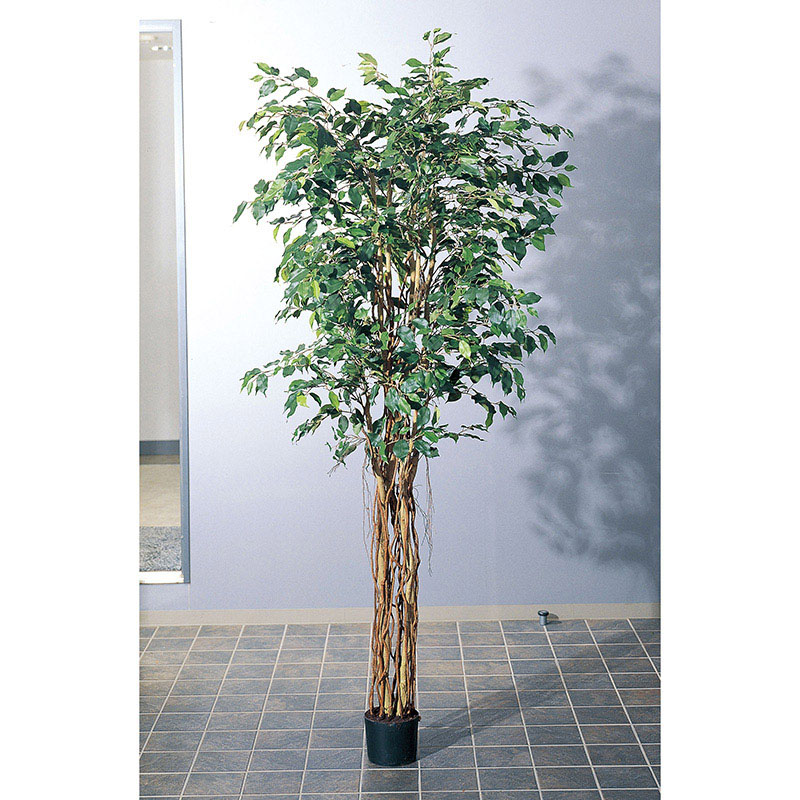 アスカ商会 造花・観葉植物 A-56006ファイカスツリー #051A グリ-ン ポット付 1個(ご注文単位1個)【直送品】