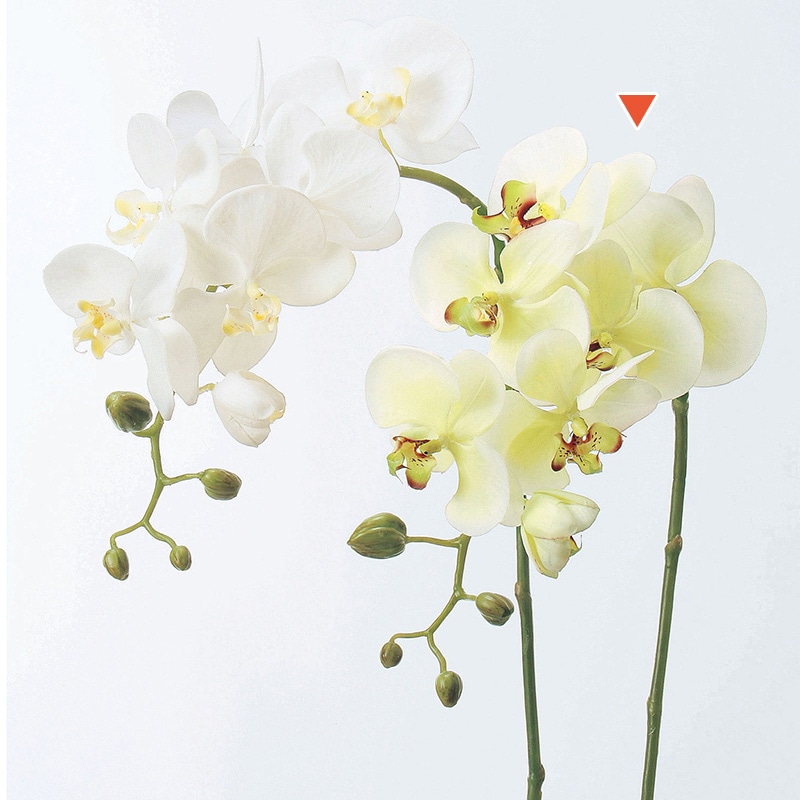 アスカ商会 造花 A-31257コチョウランS #053A　クリ-ムグリ-ン 1本（ご注文単位1本）【直送品】