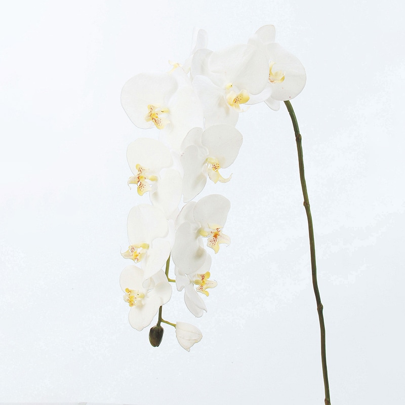 アスカ商会 造花 A-31259コチョウランL #001 ホワイト 1本(ご注文単位1本)【直送品】