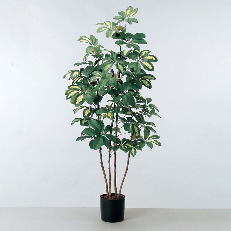 アスカ商会 造花・観葉植物 A-50757ベビーシェフレラ #051A グリ-ン ポット付 1本(ご注文単位1本)【直送品】