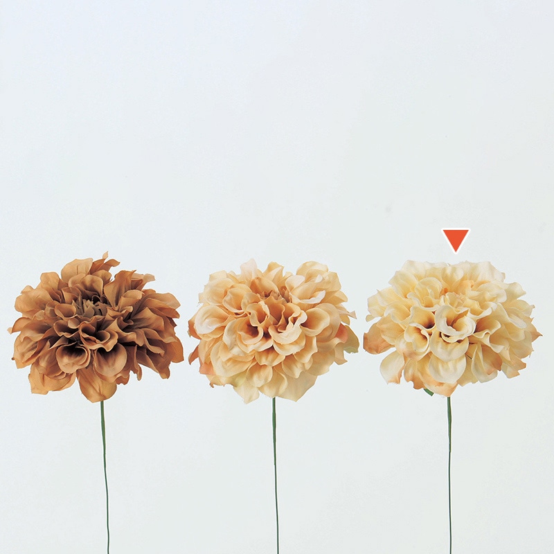 クリームホワイト