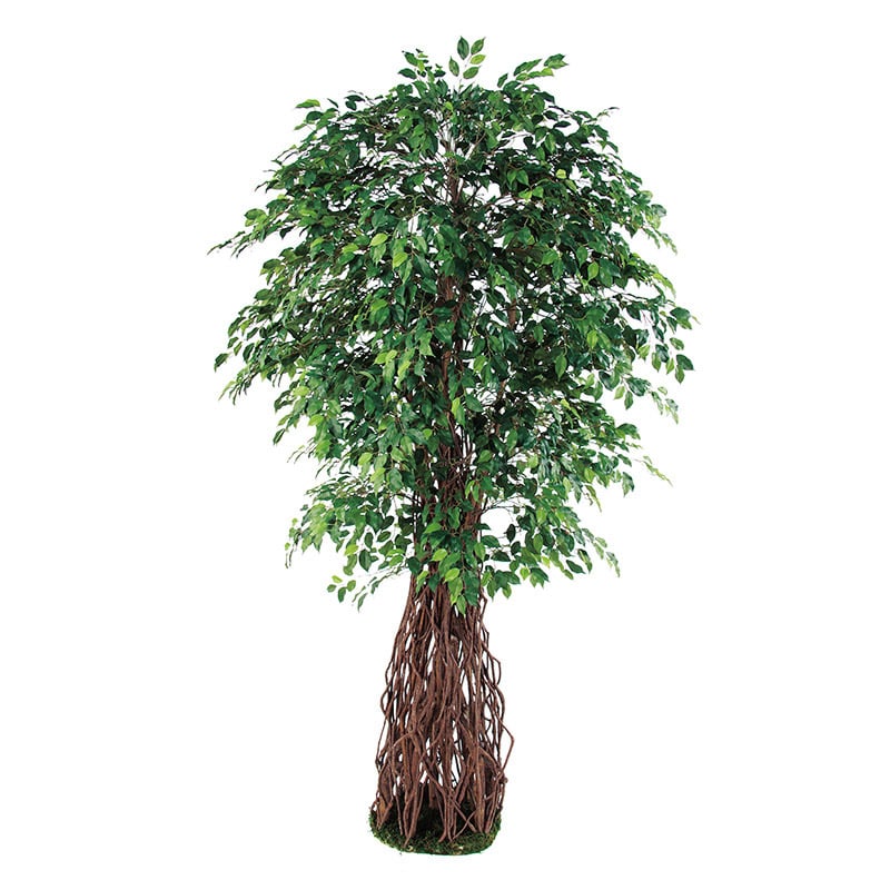 アスカ商会 造花・観葉植物 A-50779 ファイカスツリー #051A グリ-ン 1本(ご注文単位1本)【直送品】