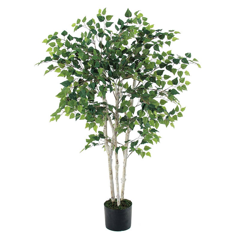 アスカ商会 造花・観葉植物 A-50768 バーチツリー #051A グリ-ン ポット付 1本(ご注文単位1本)【直送品】