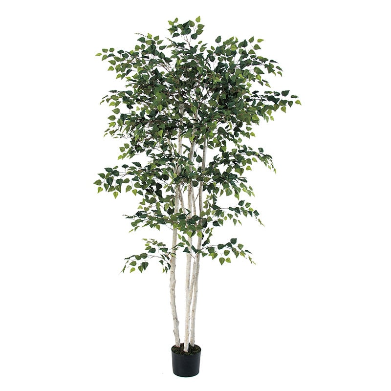 アスカ商会 造花・観葉植物 A-50772 バーチツリー #051A グリ-ン ポット付 1本(ご注文単位1本)【直送品】