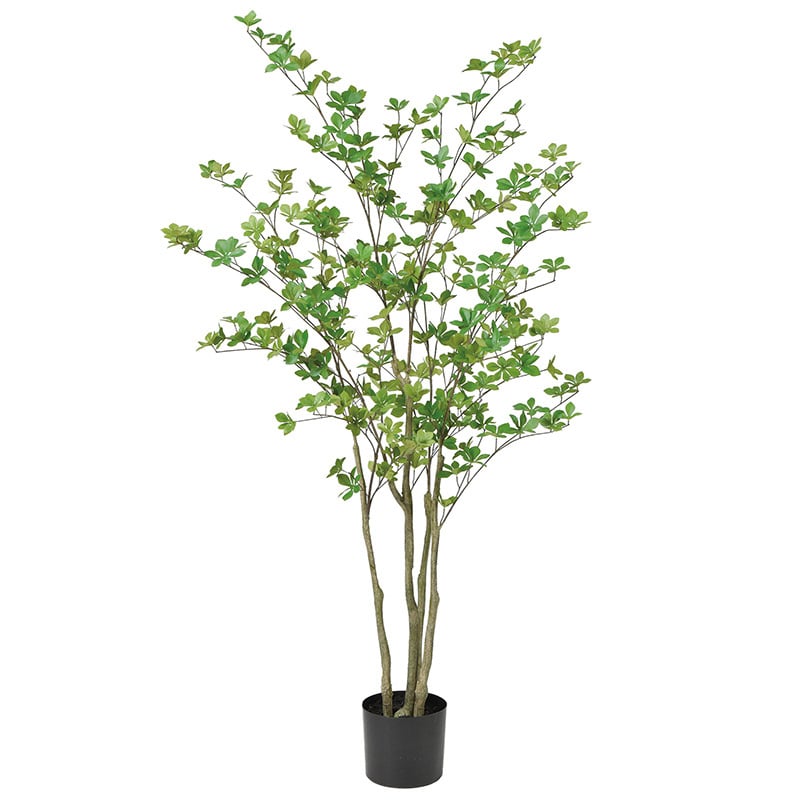 アスカ商会 造花・観葉植物 A-50993 ドウダン #051A グリ-ン ポット付 1本(ご注文単位1本)【直送品】
