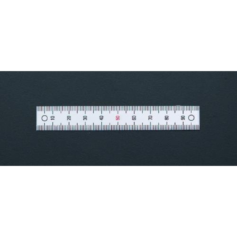 エスコ EA948J-202 100mm［垂直/下方向]スケール 1個（ご注文単位1個）【直送品】
