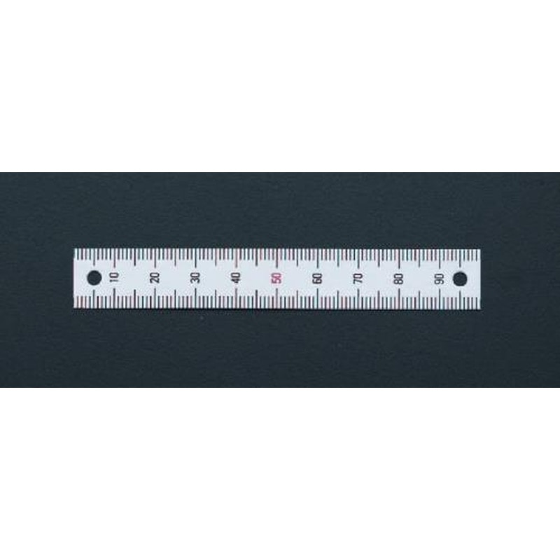 エスコ EA948J-222 100mm［垂直/下方向]スケール(ネジ穴付) 1個（ご注文単位1個）【直送品】