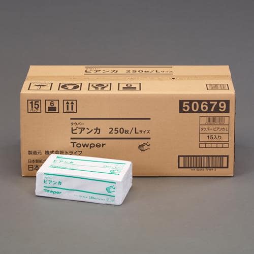 エスコ EA929AZ-33B 250x250mm ハンドタオル(250枚/12パック) 1箱 （ご注文単位1箱）【直送品】