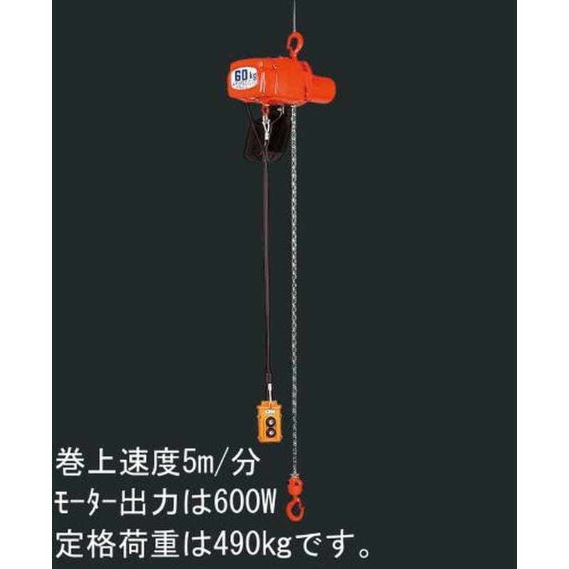 エスコ EA987DA-9 AC100V/490kgx5m電動チェーンブロック 1個（ご注文単位1個）【直送品】