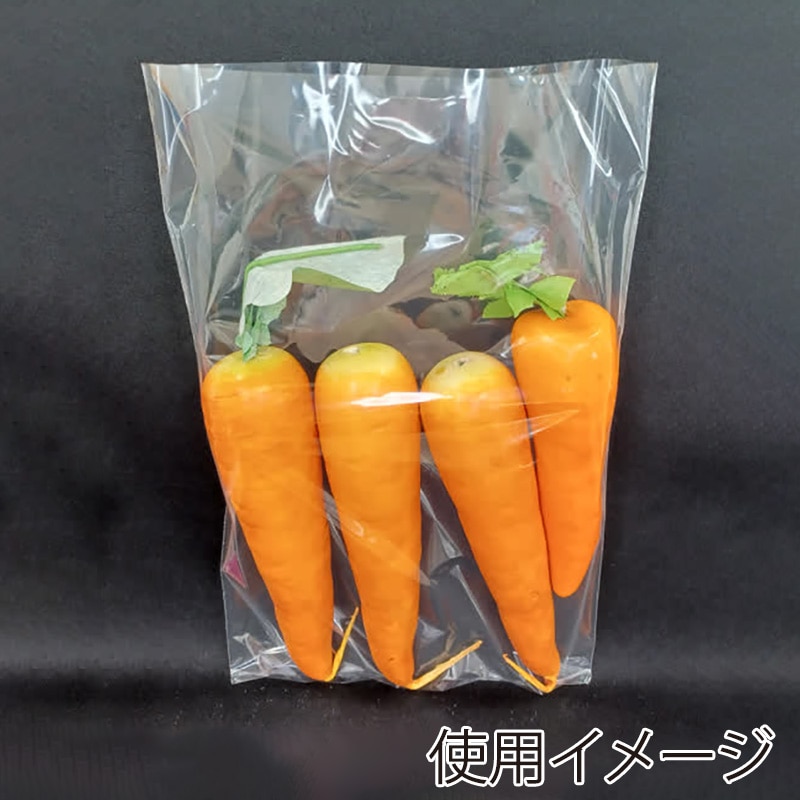 精工 SHB-2規格袋 10号 100枚/袋(ご注文単位100袋)【直送品】