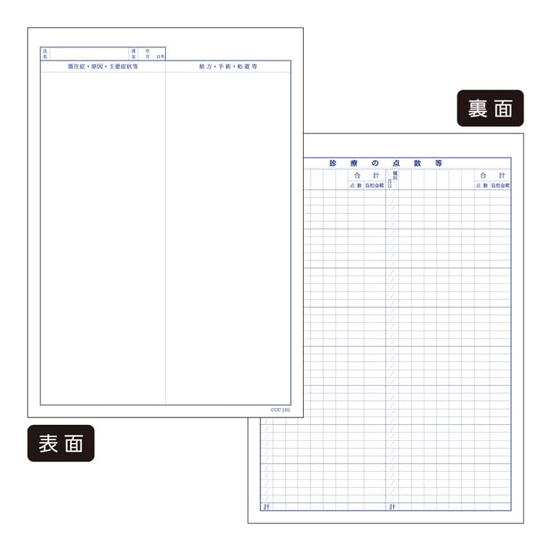 東杏印刷 診療録 B5 国保2号紙 2-2号 1冊入 CCC101 1箱(ご注文単位1箱)【直送品】