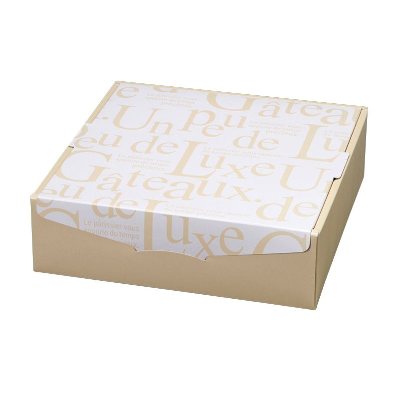 フォーション ギフト箱 FSおやつBOX10 100個/箱(ご注文単位1箱)【直送品】