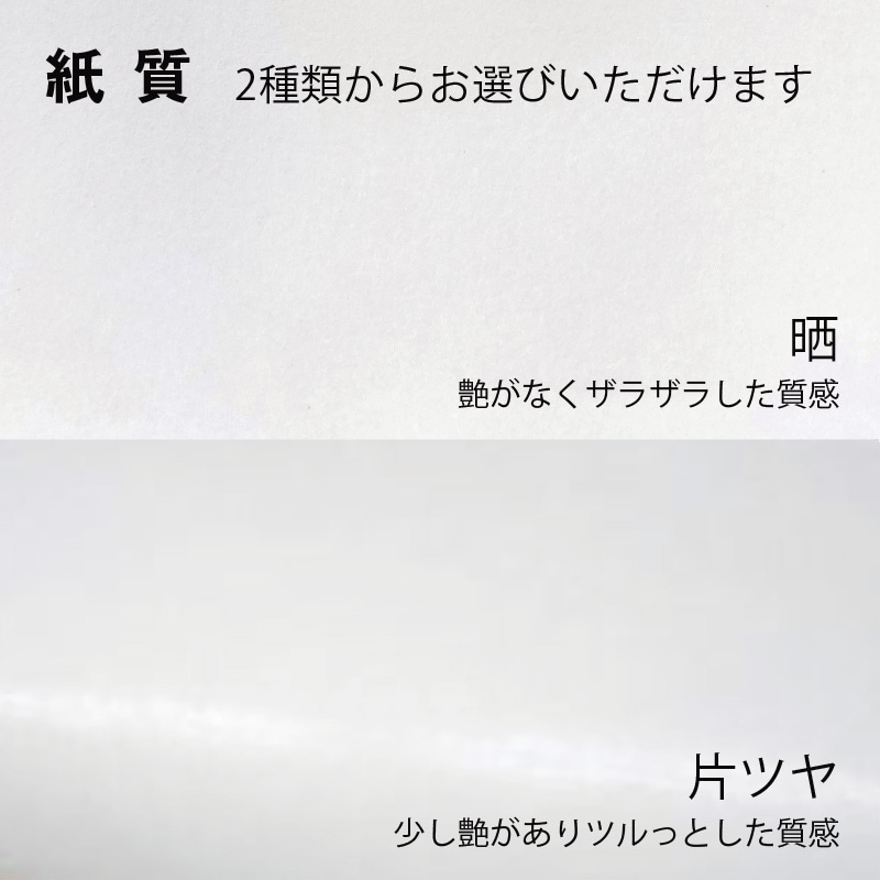 【オリジナル印刷】スムースBS-100 片艶・晒120G ベタ印刷あり1色印刷 1000枚 オプション PP紐カラー替え 1000枚