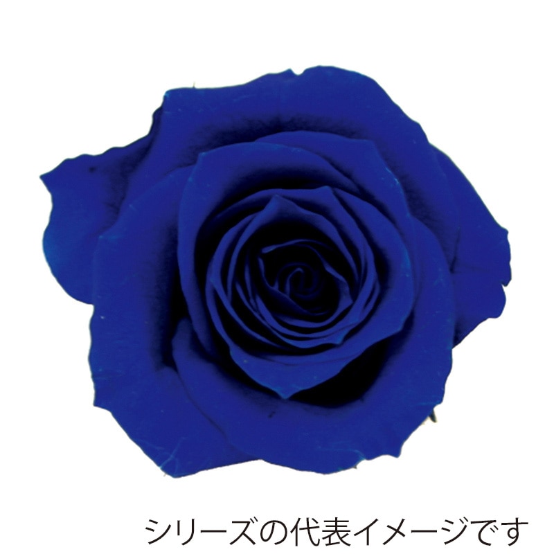 ロイヤルブルー