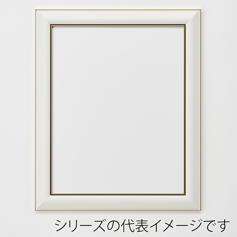 アルナ デッサン額　HVM B-2　728×515mm ネオホワイトフレーム 1個（ご注文単位1個）【直送品】