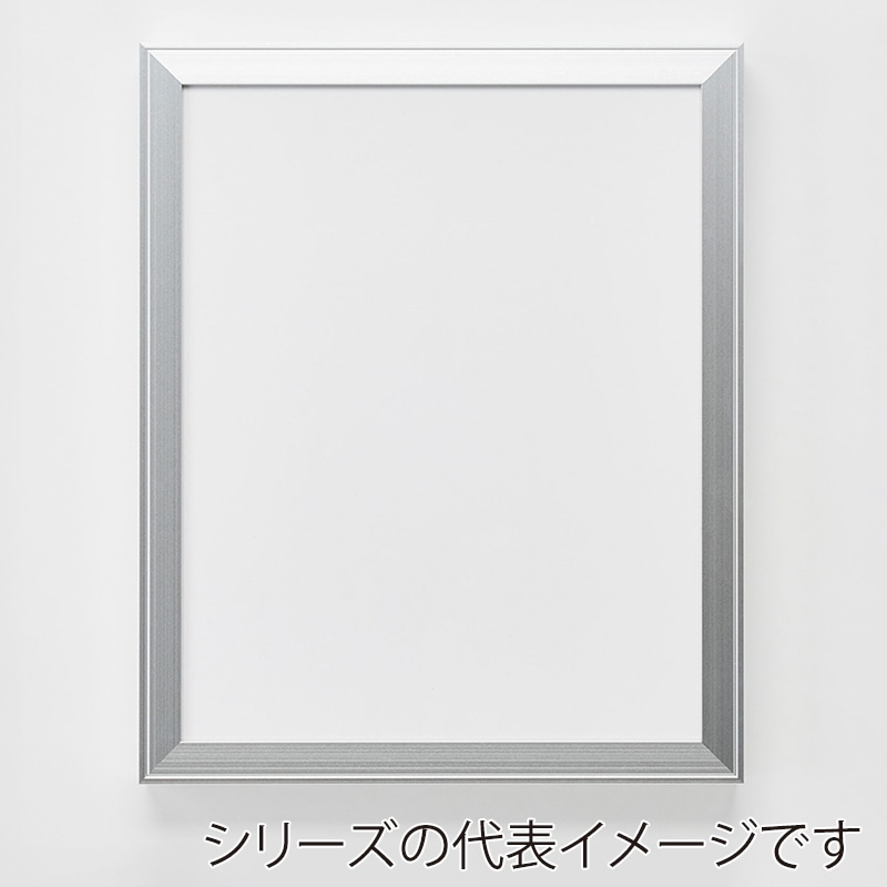 アルナ デッサン額　FW 大衣　509×394mm シルバーフレーム 1個（ご注文単位1個）【直送品】